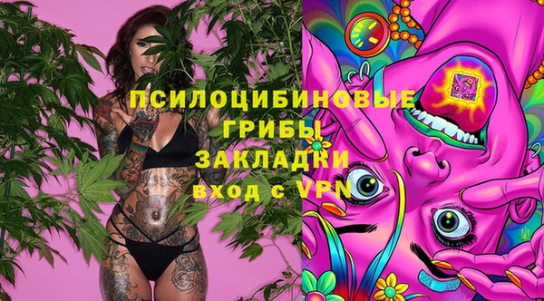 первитин Богородск