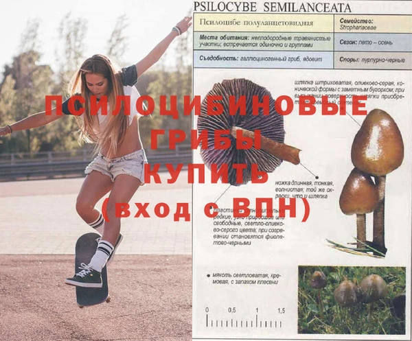 не бодяженный Бугульма